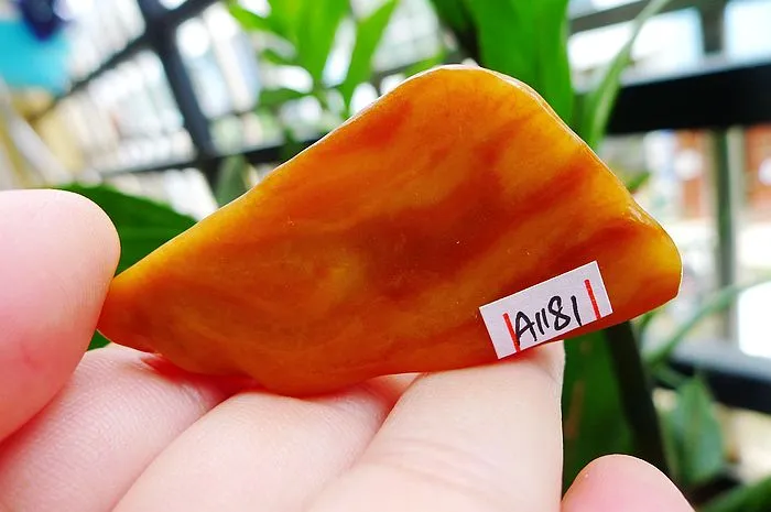 Natural Jade Rough Jadeite Raw (22g,5.5X2.9X0.8cm)